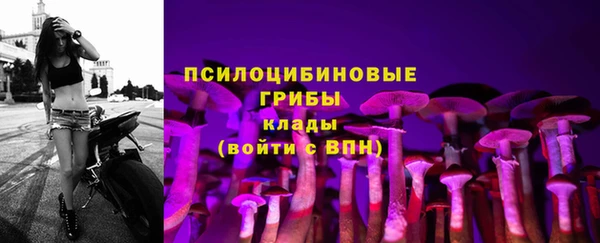 дмт Алексин