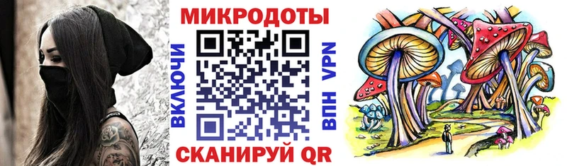 Галлюциногенные грибы Cubensis Новоульяновск