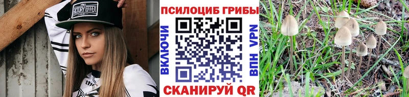 Псилоцибиновые грибы мицелий  mega зеркало  Новоульяновск  продажа наркотиков 