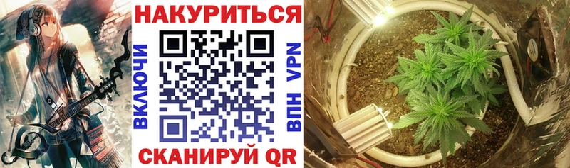 цена наркотик  Новоульяновск  Бошки Шишки Ganja 